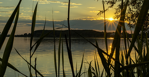 Blick ber den See